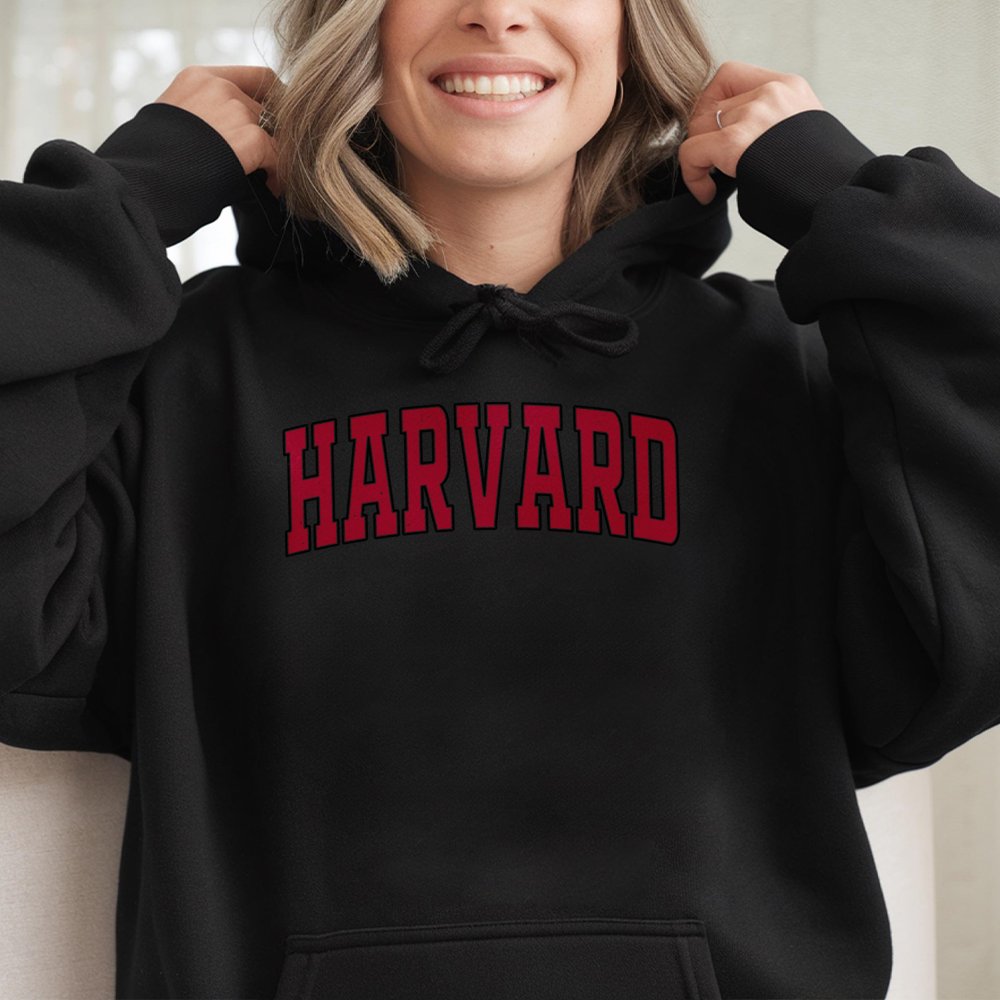 University Collegiate Arch Hoodie | Vintage Style Graphic Sweatshirt | Premium Cotton-Poly Blend | Unisex Gift for Students a