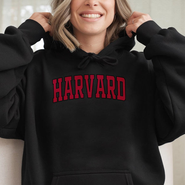 University Collegiate Arch Hoodie | Vintage Style Graphic Sweatshirt | Premium Cotton-Poly Blend | Unisex Gift for Students a