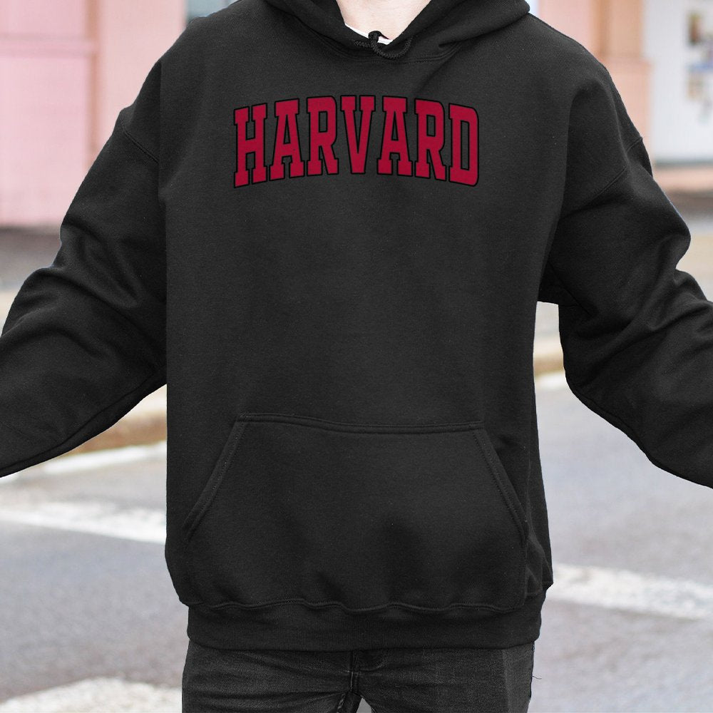 University Collegiate Arch Hoodie | Vintage Style Graphic Sweatshirt | Premium Cotton-Poly Blend | Unisex Gift for Students a